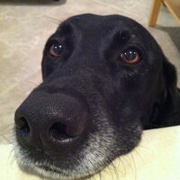 Paul Valley (@paulfvalley) 's Twitter Profile