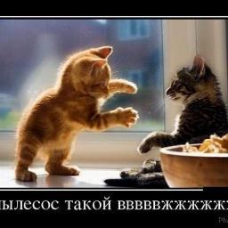 Я очень люблю, тех кто отвечают взаимностью, и конечно же поддерживаю, тех, кто добавляется читать. Читаем друг друга уважаемые пользователи твиттера!))))