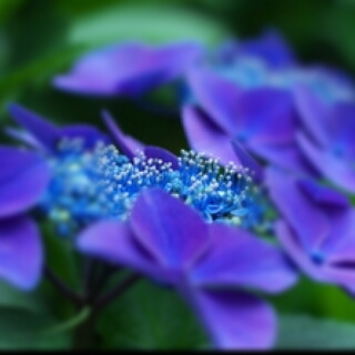 princess_kzk's profile picture. 