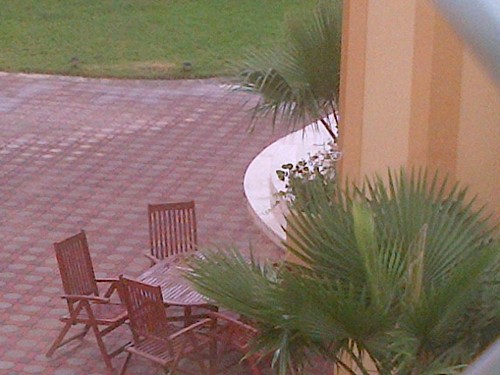 almasjona's profile picture. كم تكثر الأحلام في المنام وأنا في الحقيقة لست بالملام