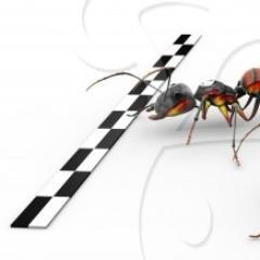 AntRacePCRepair's profile picture. Ant Race is a computer repairs company in Orpington. We give the best computing experience and have a range of services including repairs, upgrades and tuition.