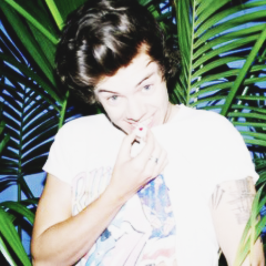harryado ama a kyceta