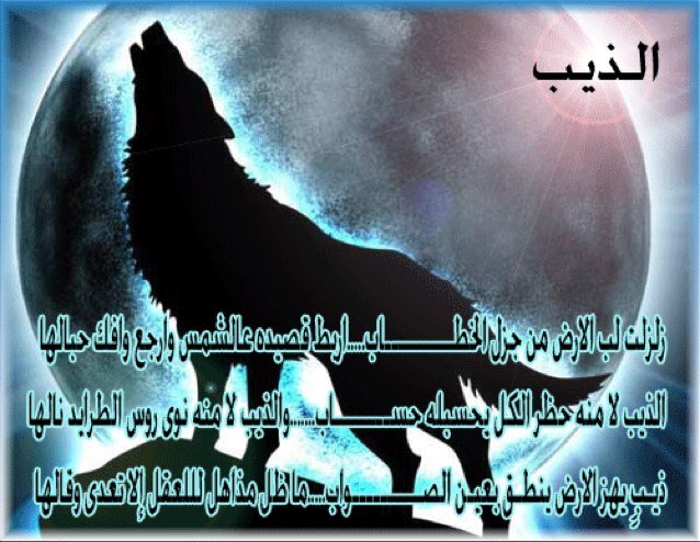 gameel1232's profile picture. 