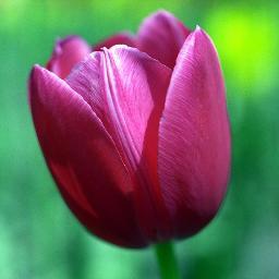 deniz988h2o's profile picture. 