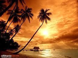 khyro1965's profile picture. نعيب زماننا و العيب فينا ... و ما لزماننا عيب سوانا