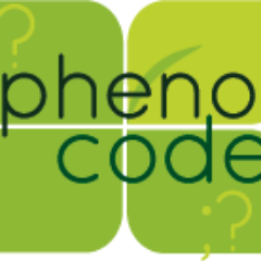 PHENOCODE's profile picture. Small development firm based in Phoenix, AZ