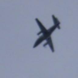 maikol_oscar's profile picture. 