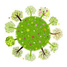 MrTreeCare's profile picture. 