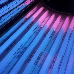 wwefanjaylin's profile picture. 