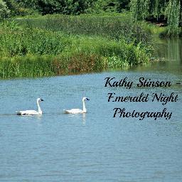 I'm the photographer and not the children's author.     Photographer, Genealogist, Mother of 3