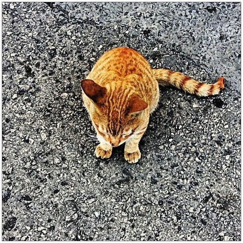 333aziz333's profile picture. 