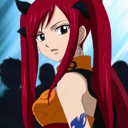 I'm Erza Scarlet from the Fairy Tail Guild