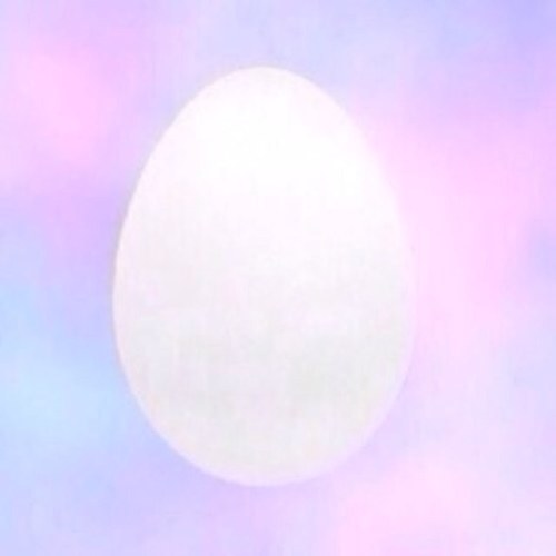 Follow @iniallerrs because I gave you a free follow!