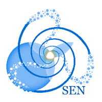 SEN(@SENsynergy) 's Twitter Profile Photo