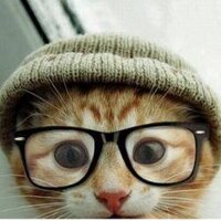 stuff-n-things (@phagen3) 's Twitter Profile Photo