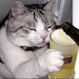 飲み好き(笑)。ビール好き(笑)。食べ好き(笑)のビジネスマンです。出張が多く、仕事で、ほぼ平日は毎日日本全国で飲み食べしています。こんな僕ですがよろしくお願いします。