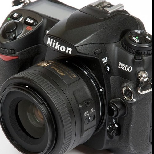 Freelance Photographer
