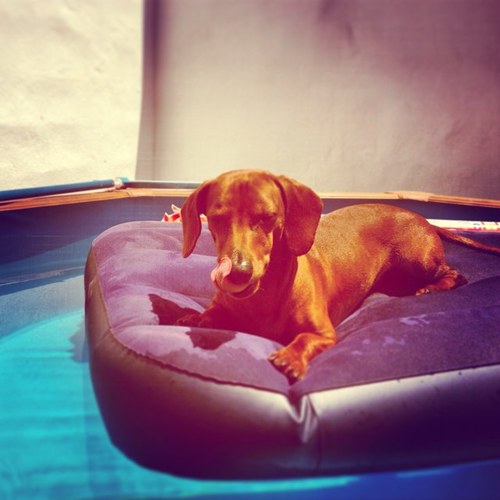 shad0w1n's profile picture. 