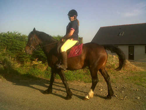 FfionMorgey's profile picture. 