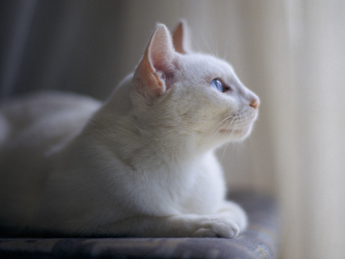 kazenogotoku7's profile picture. 心の医者として。
NGTヲタ。市民ランナー。