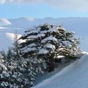 Elie Saad - @saadelie1 - Twitter