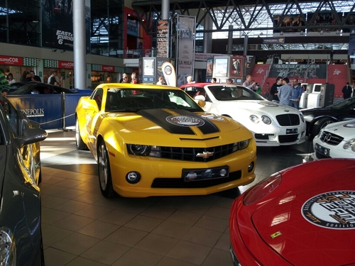 Marsan74Quique's profile picture. 