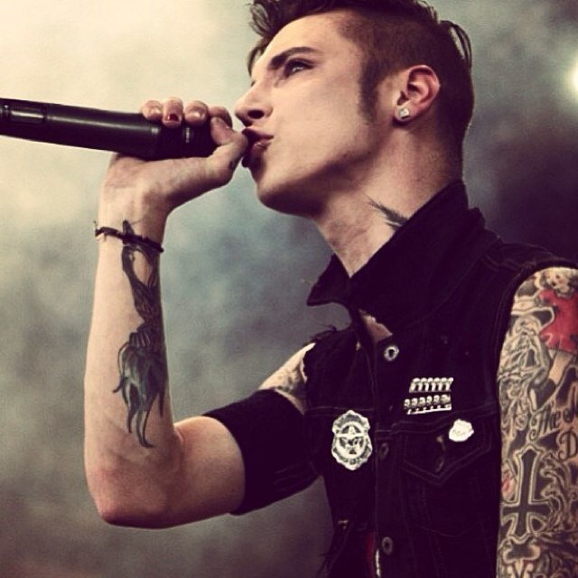 Treat others how you want to be treated. Janoskianator, Arianator, Mixer, Lovatic, and BVB ARMY :)