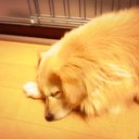 mii (@0213_am) Twitter