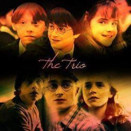 Potterheads ? Alors ce compte est pour vous, facts, quotes, infos, exclus, et plein d'autres choses ;)