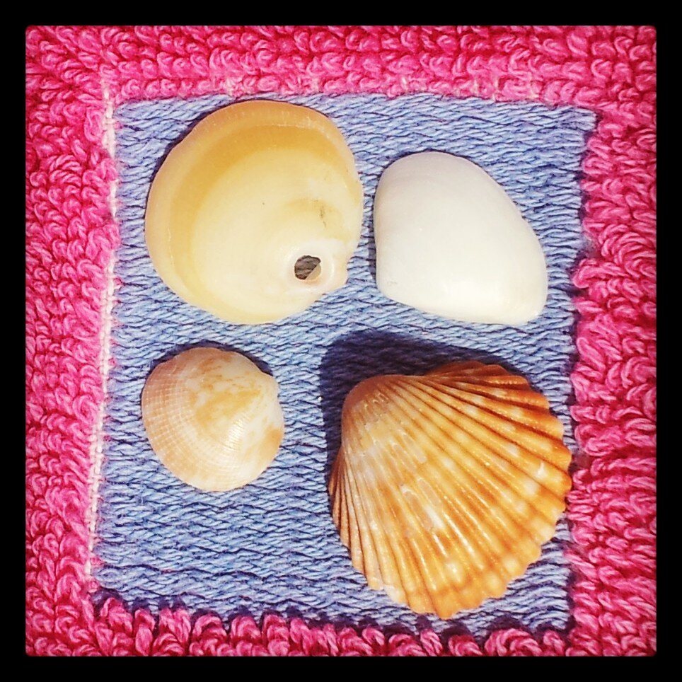 Enamorada de les petites coses de la vida ❤️