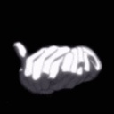 Talisha Rivera - @TalishaRivera3 - Twitter