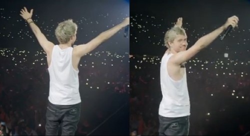 This fandom annoys me. I follow back... 0/5 One direction 0/4 5SOS #CRAZYMOFO