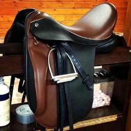 Advocate for education and proper saddle fit for an enhanced performance for horses and their riders.