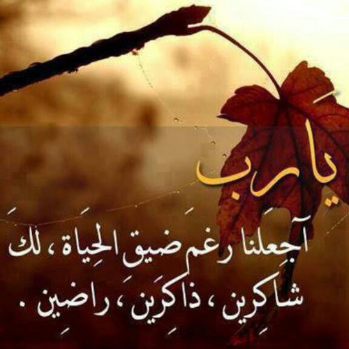 ‏‏هذا الحساب بإذن الله صدقة جارية لي ولك ، لأمي وأمك ،لأبي وأبيك وجميع المسلمين الأحياء منهم والأموات ،ومرضانا ومرضى المسلمين ، اللهم تقبل كل حرف دوِّن هنا ❤️