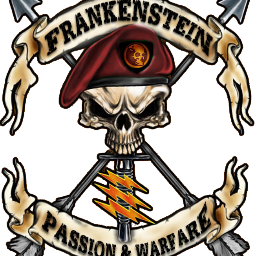 OFFICIAL twitter FFPS186 : Frankenstein First Person Shooter is a community that come from Indonesia and have a fully passion for gaming!
PASSION & WARFARE