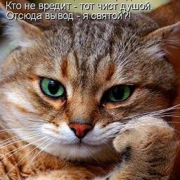 IrinaS1955's profile picture. 