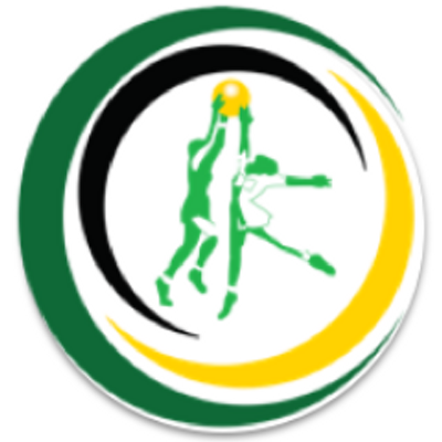 Image result for Netball Jamaica logo
