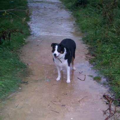 peterlee9's profile picture. sad, happy, funny, clever, thick, compassionate, caring oh yes and sexy