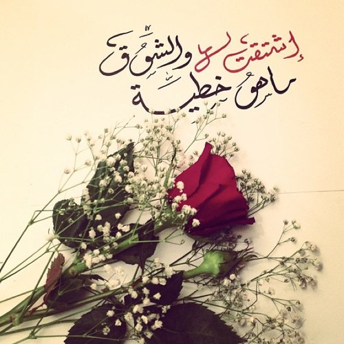 ”يُدبّر الأمر هذهِ الآية كفيلة بأن تُضفي على نبضِك هدوءً وخشوعًا مهما ضاقت بكَ الدُنيا ؛ اجعلها عنوانًا ليومك ،