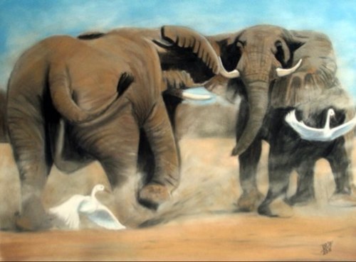I'm passionate about the natural world, especially dogs and transfer this in my consultations, Wildlife Artwork, Pet Portraiture, Spray Paint Art & Photography.