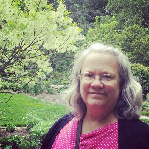 dkdressler's profile picture. 