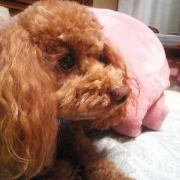 mri1023's profile picture. 