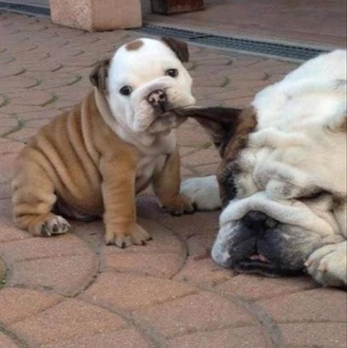 walterior's profile picture. 