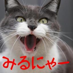 LOL(破壊神てんしぃ）とバトオペ2(niconama-tensi)。YouTubeで動画投稿中。
趣味はサッカー観戦、格闘技観戦、筋トレ、ランニング、カラオケです。 https://t.co/B4gbphpetF