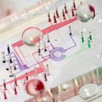 Maerkl Lab (@maerkllab) 's Twitter Profile