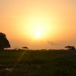 eliorburguillos's profile picture. 