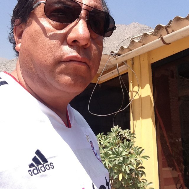 javiloyola6's profile picture. 