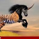 william sutton  - @WsSutwill - Twitter