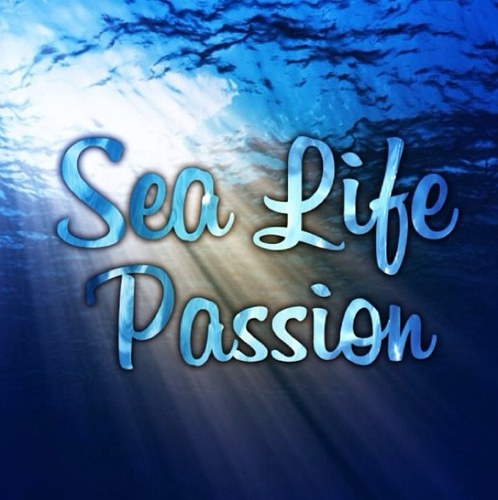 Welcome to the #1st Great Multimedial platform for magic places all around the world. For all the Ocean/Sea fans!