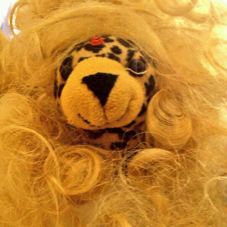 Hello, I am Dåmøñç (the c is silent), the multicultural leopard with a love for life (and hugs). Follow me for an overload of cuteness and babe-ness